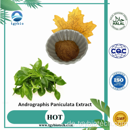 Andrographis Paniculata -Extraktpulver 98% Andrographolid